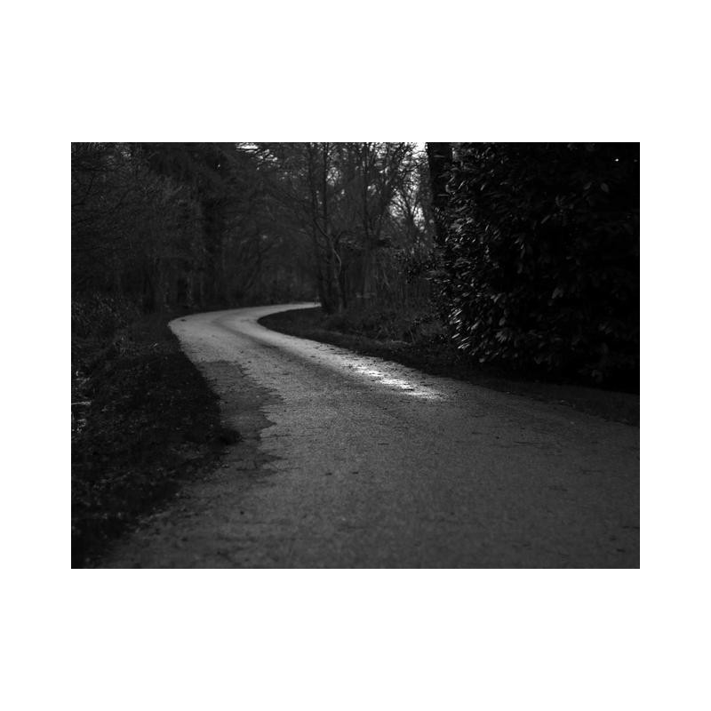 Ergonomic Wool Coat pt-PT